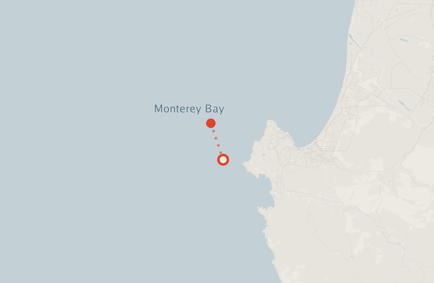 Activity map — real sighting points on an OpenStreetMap basemap
