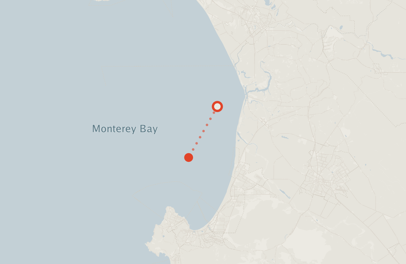 Activity map — real sighting points on an OpenStreetMap basemap