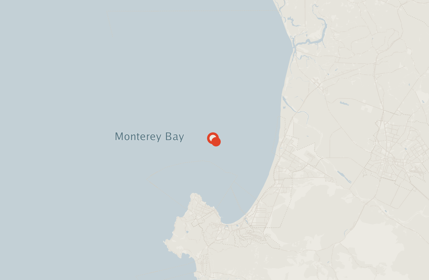 Activity map — real sighting points on an OpenStreetMap basemap