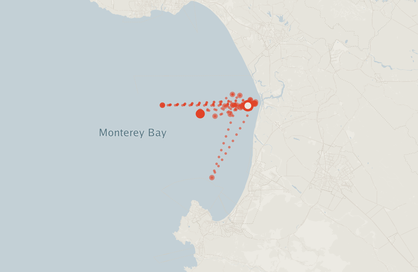 Activity map — real sighting points on an OpenStreetMap basemap