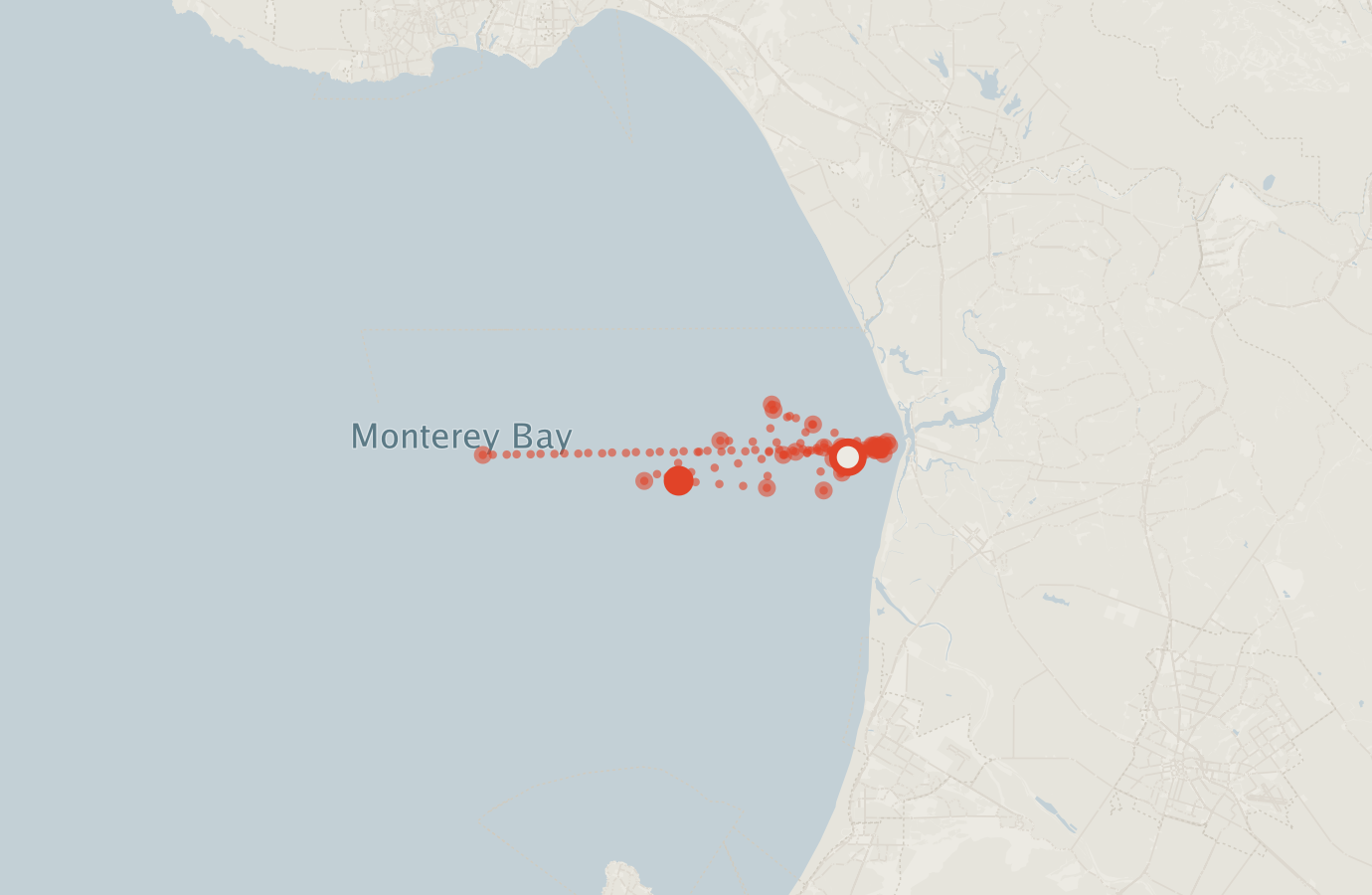 Activity map — real sighting points on an OpenStreetMap basemap