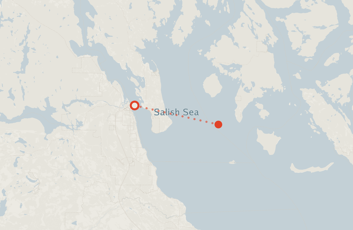 Activity map — real sighting points on an OpenStreetMap basemap