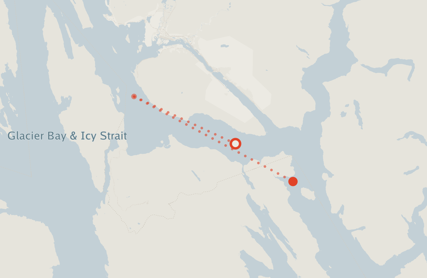 Activity map — real sighting points on an OpenStreetMap basemap