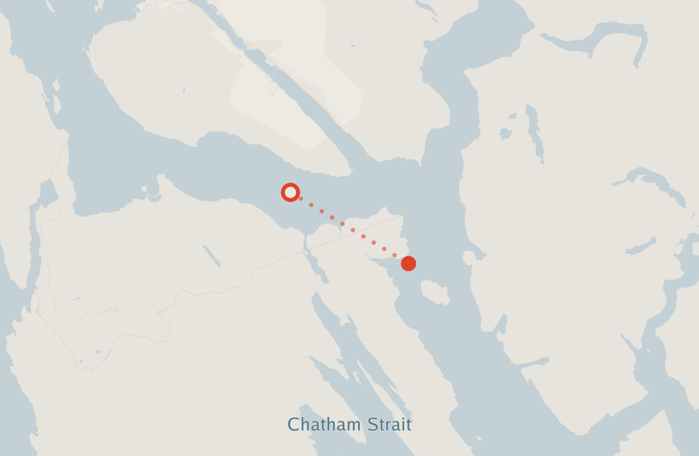 Activity map — real sighting points on an OpenStreetMap basemap