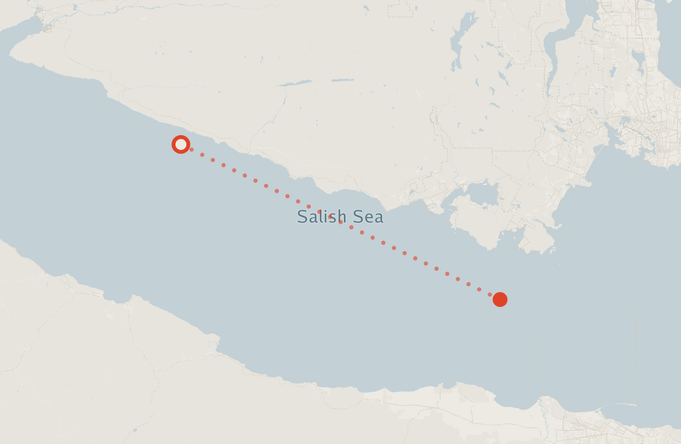 Activity map — real sighting points on an OpenStreetMap basemap