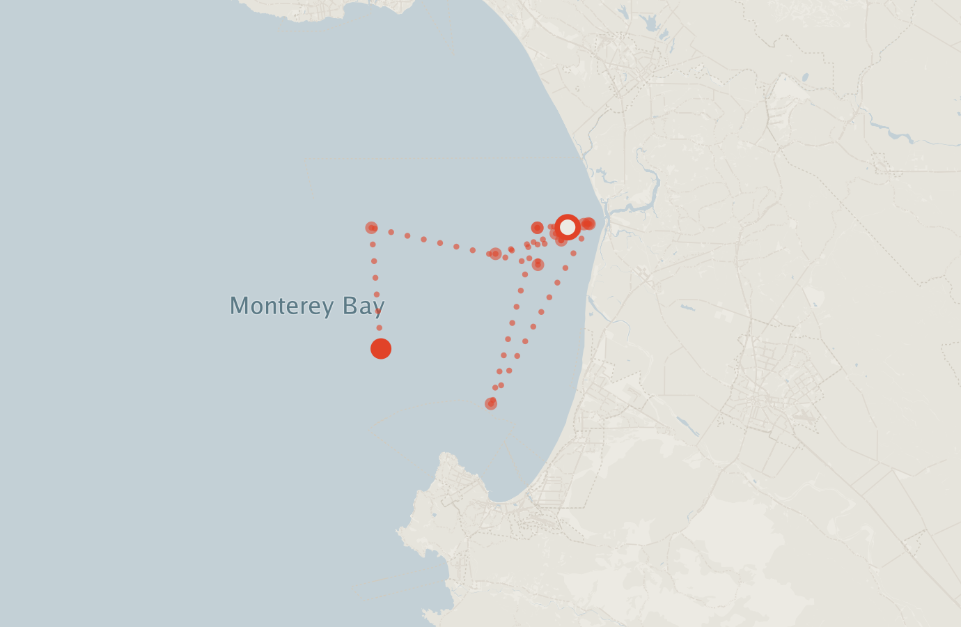 Activity map — real sighting points on an OpenStreetMap basemap