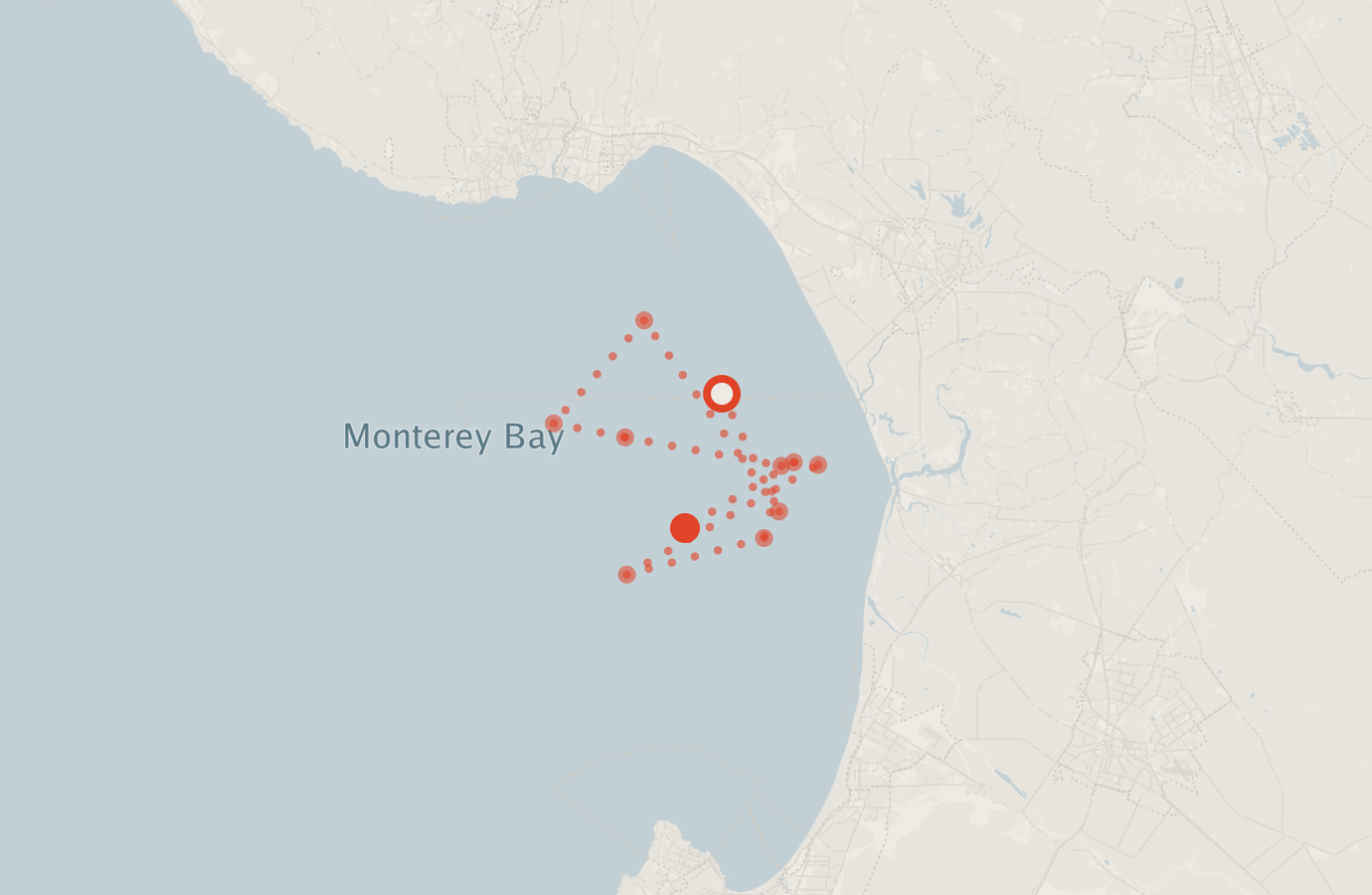 Activity map — real sighting points on an OpenStreetMap basemap