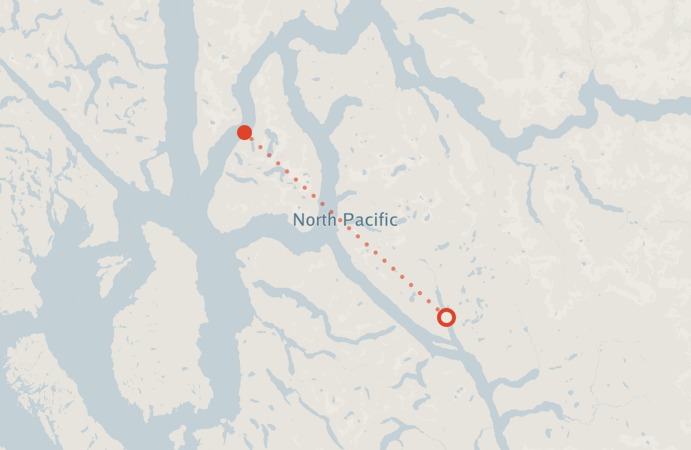 Activity map — real sighting points on an OpenStreetMap basemap