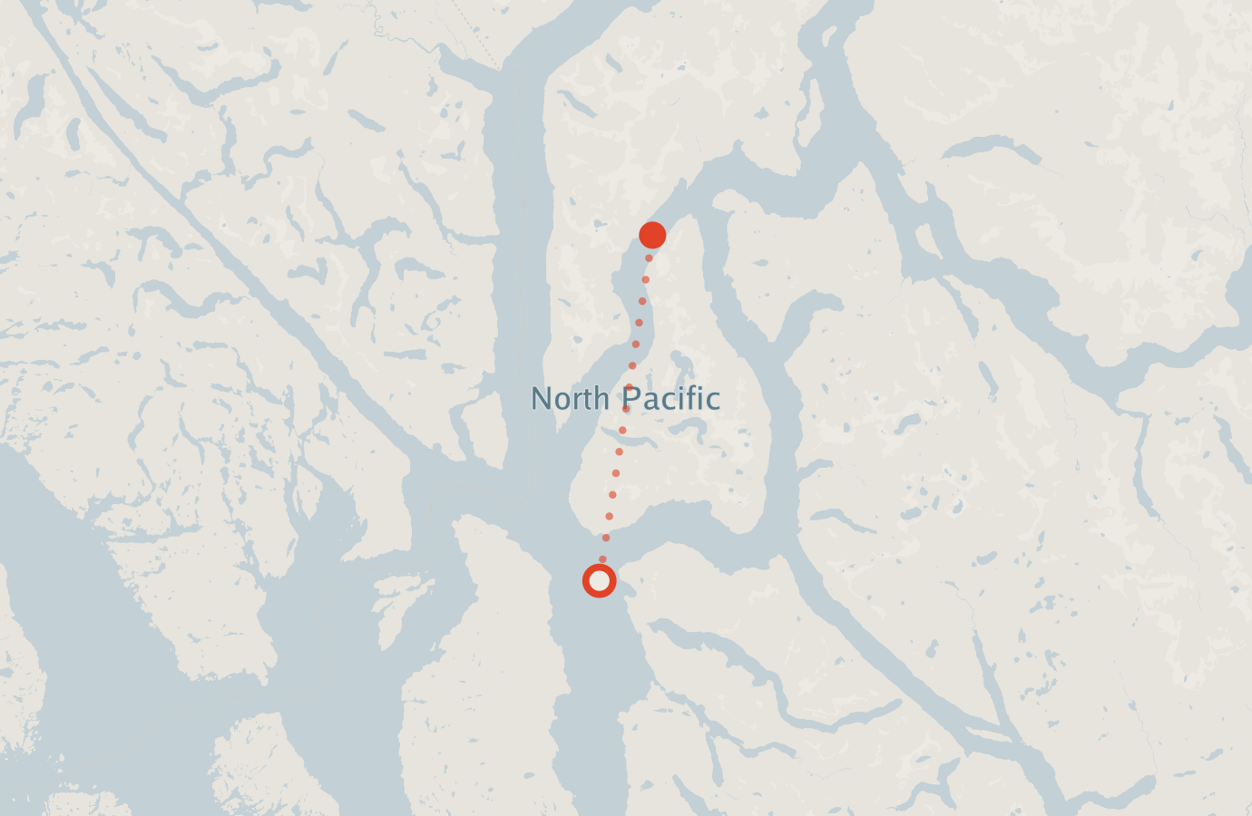Activity map — real sighting points on an OpenStreetMap basemap