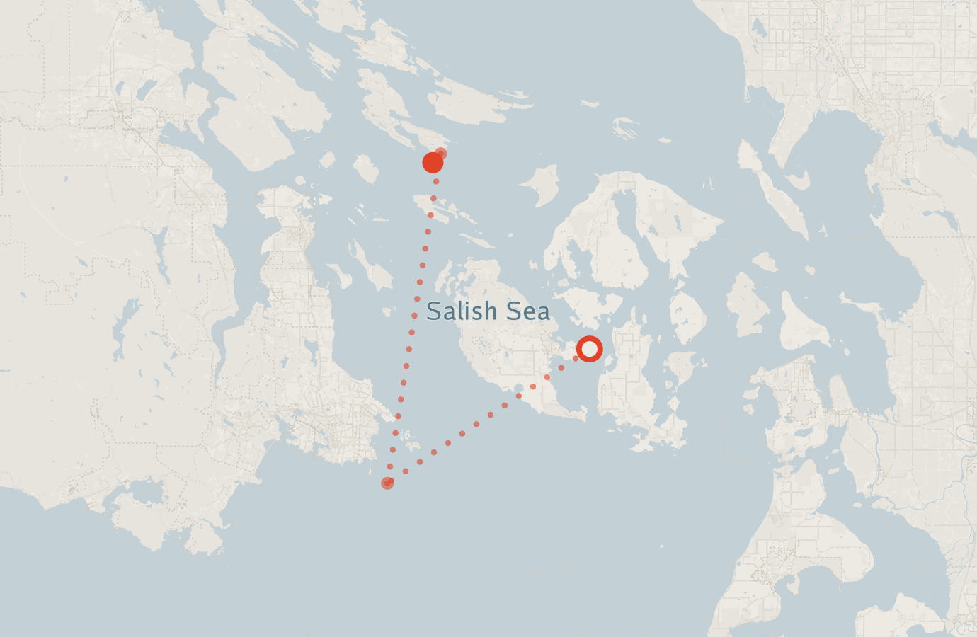 Activity map — real sighting points on an OpenStreetMap basemap