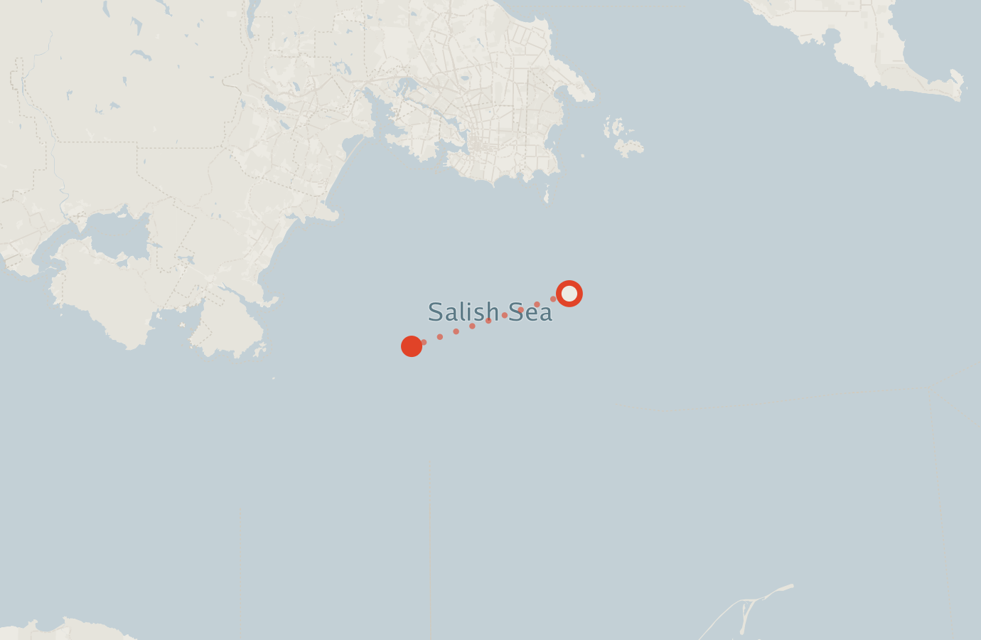 Activity map — real sighting points on an OpenStreetMap basemap