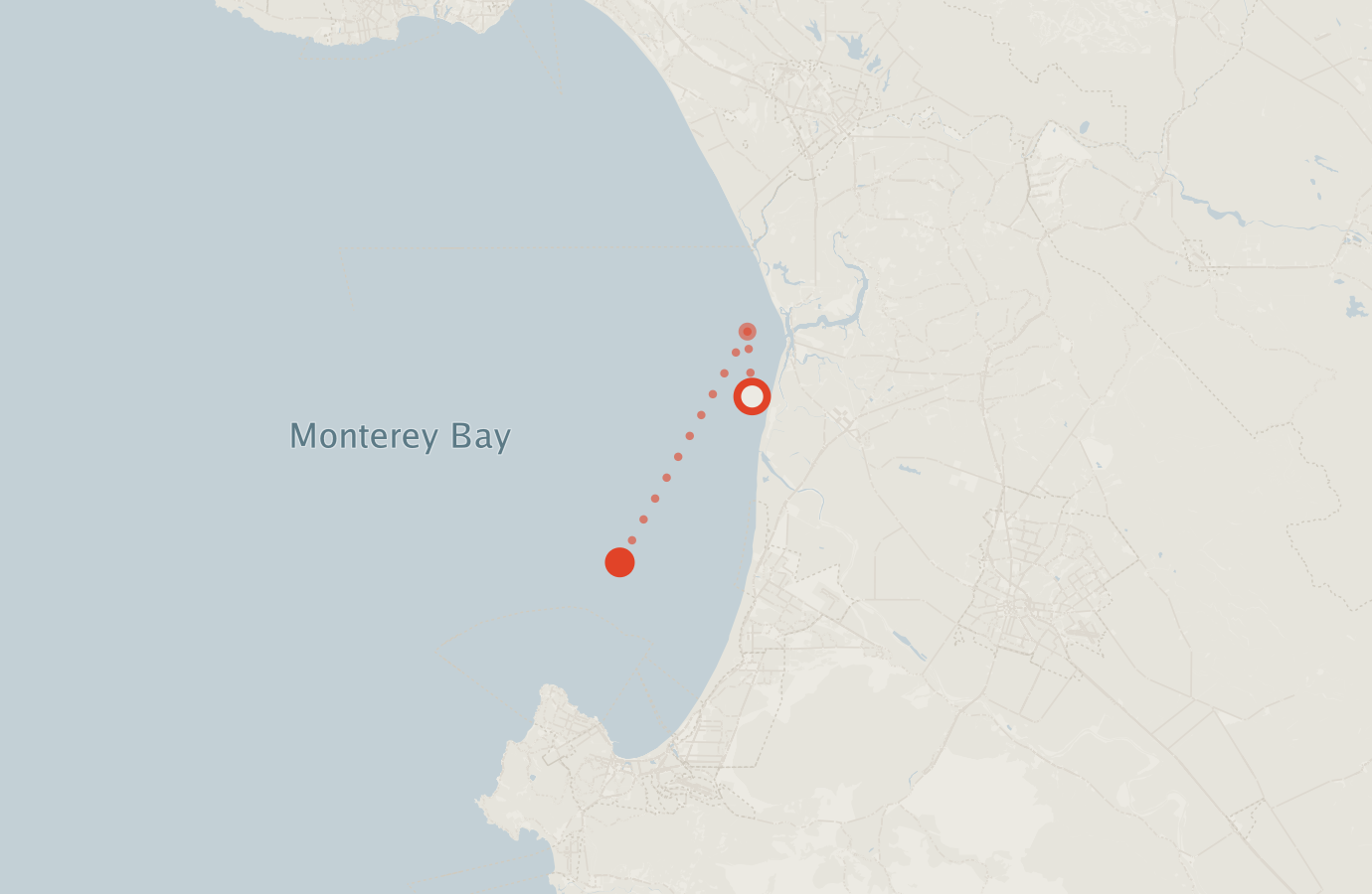 Activity map — real sighting points on an OpenStreetMap basemap