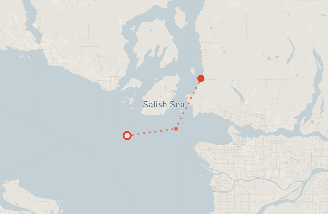 Activity map — real sighting points on an OpenStreetMap basemap