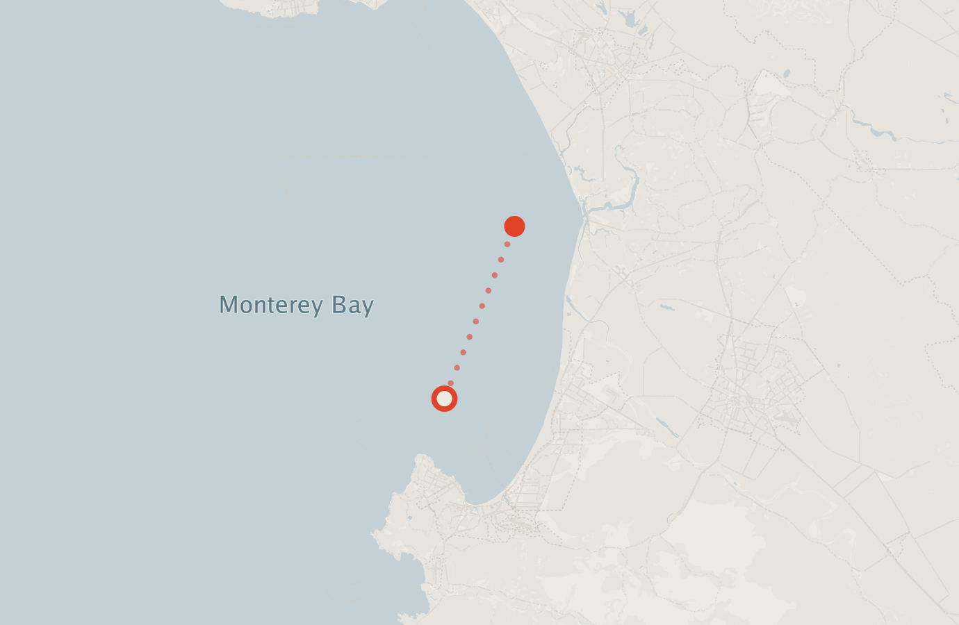 Activity map — real sighting points on an OpenStreetMap basemap