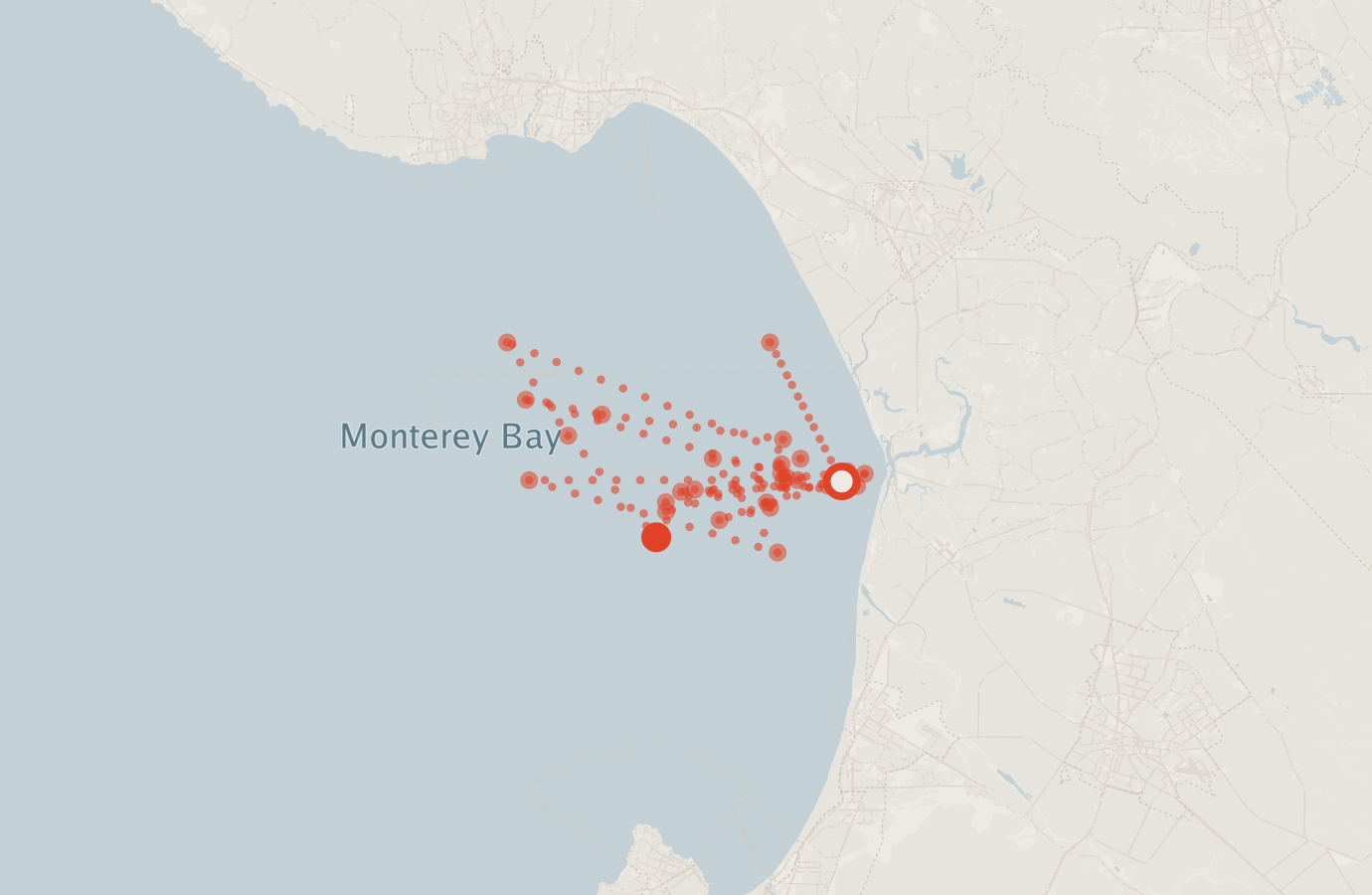 Activity map — real sighting points on an OpenStreetMap basemap