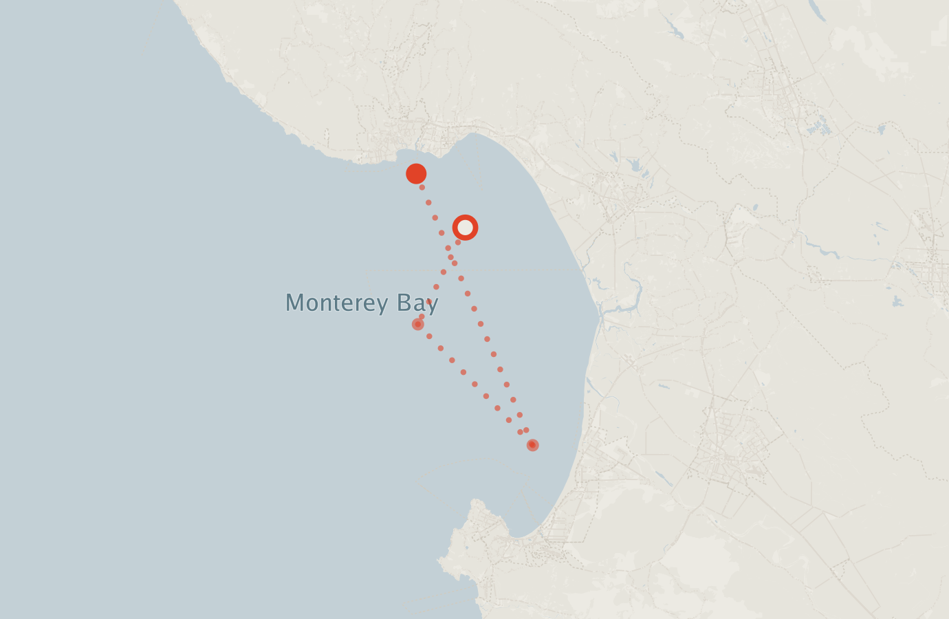 Activity map — real sighting points on an OpenStreetMap basemap