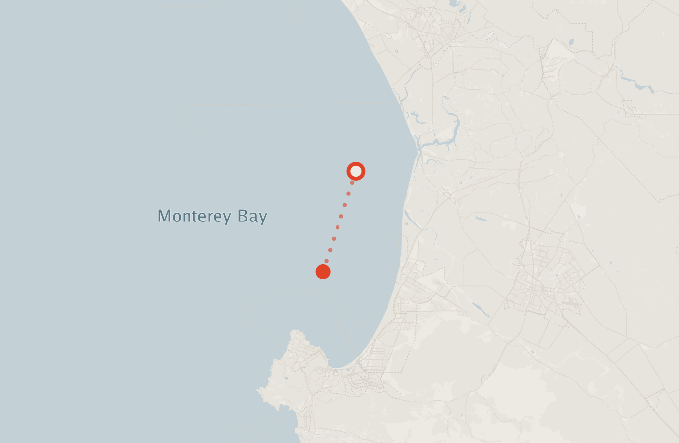 Activity map — real sighting points on an OpenStreetMap basemap