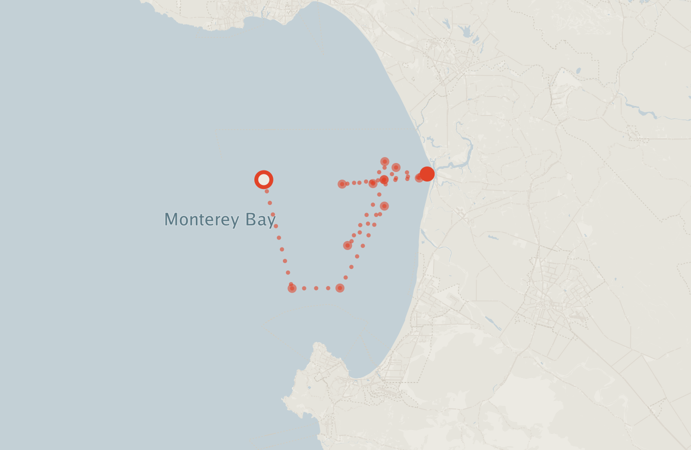 Activity map — real sighting points on an OpenStreetMap basemap