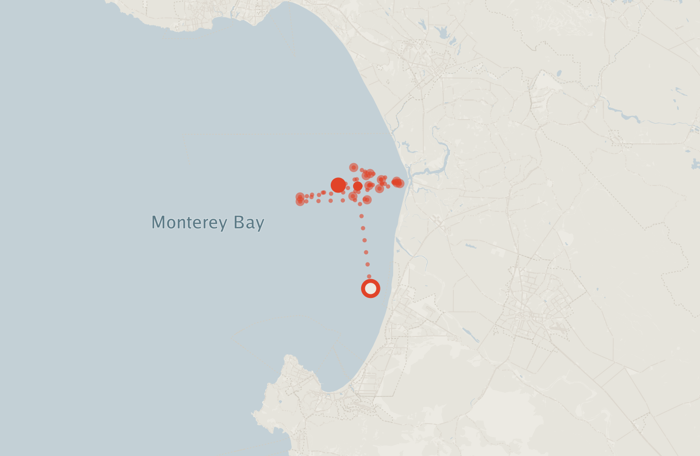 Activity map — real sighting points on an OpenStreetMap basemap