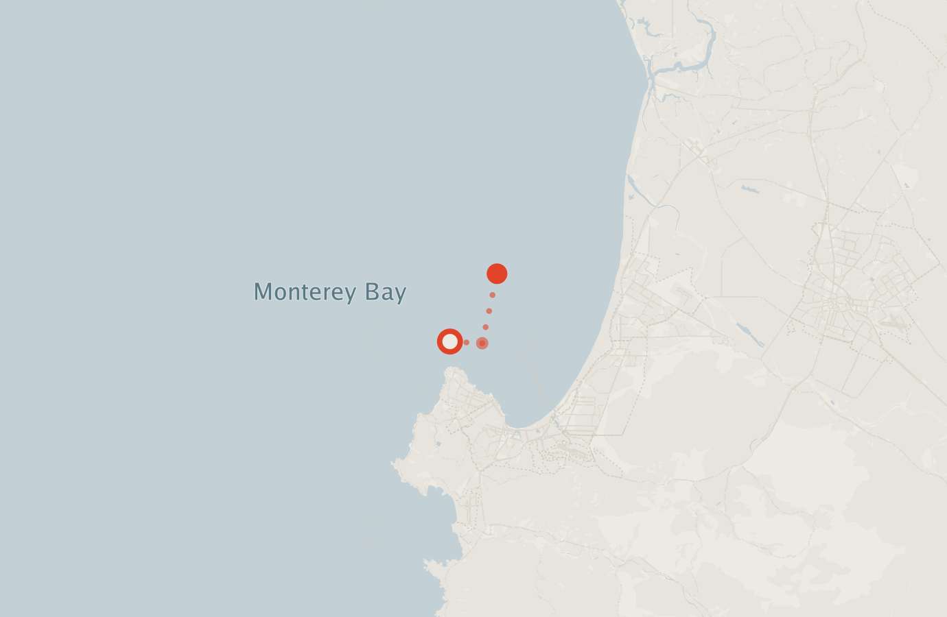 Activity map — real sighting points on an OpenStreetMap basemap