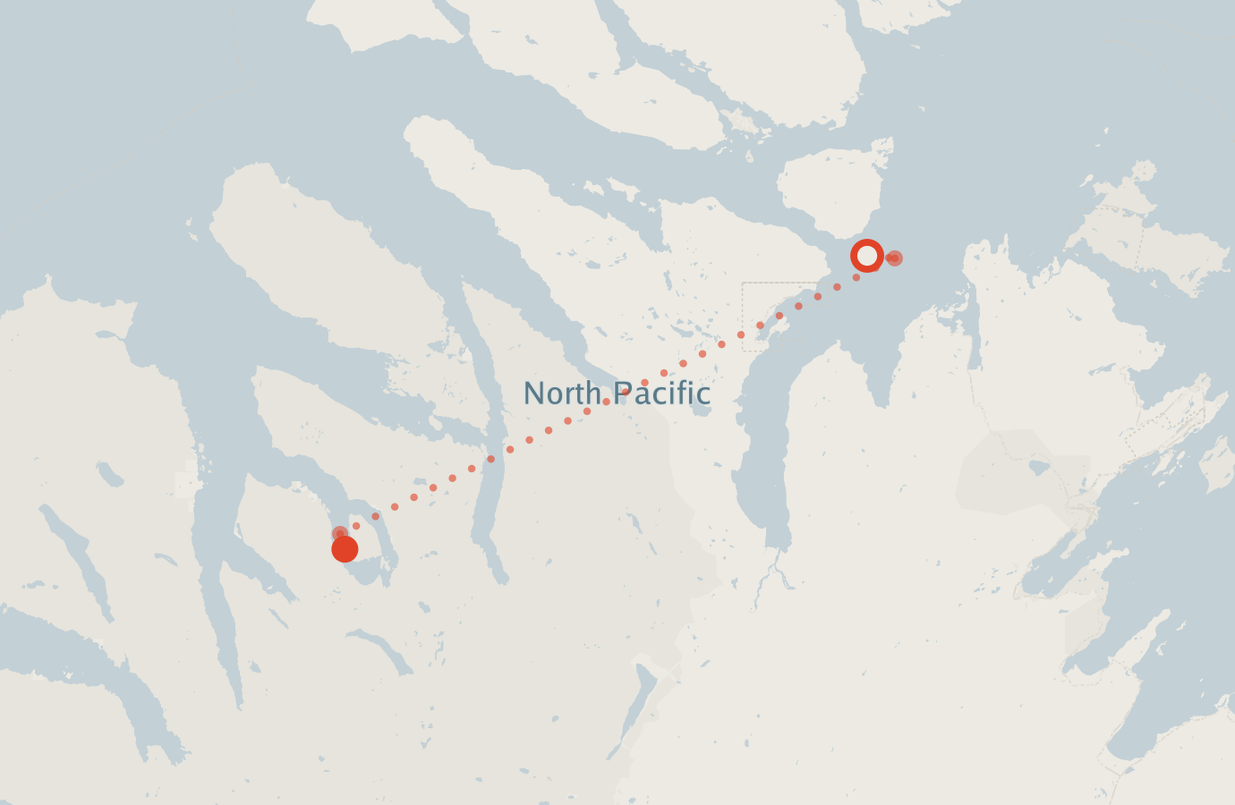 Activity map — real sighting points on an OpenStreetMap basemap