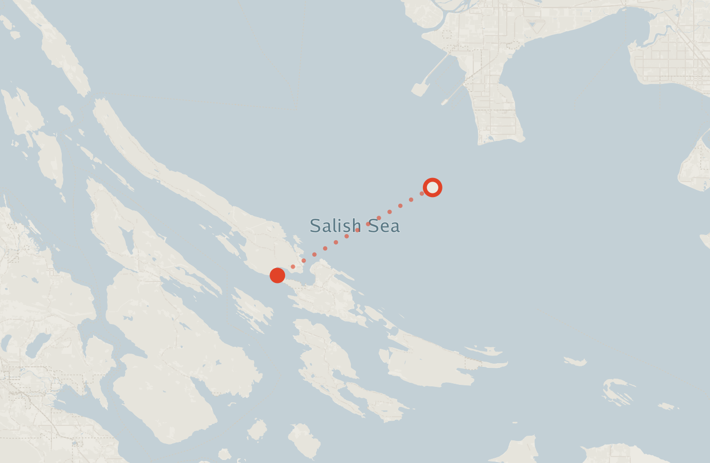Activity map — real sighting points on an OpenStreetMap basemap