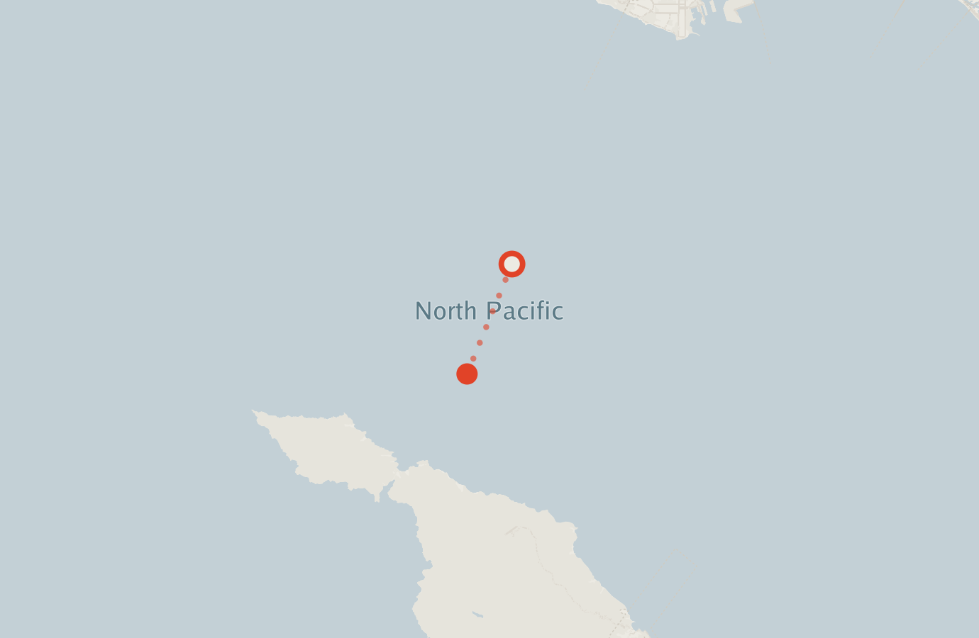 Activity map — real sighting points on an OpenStreetMap basemap