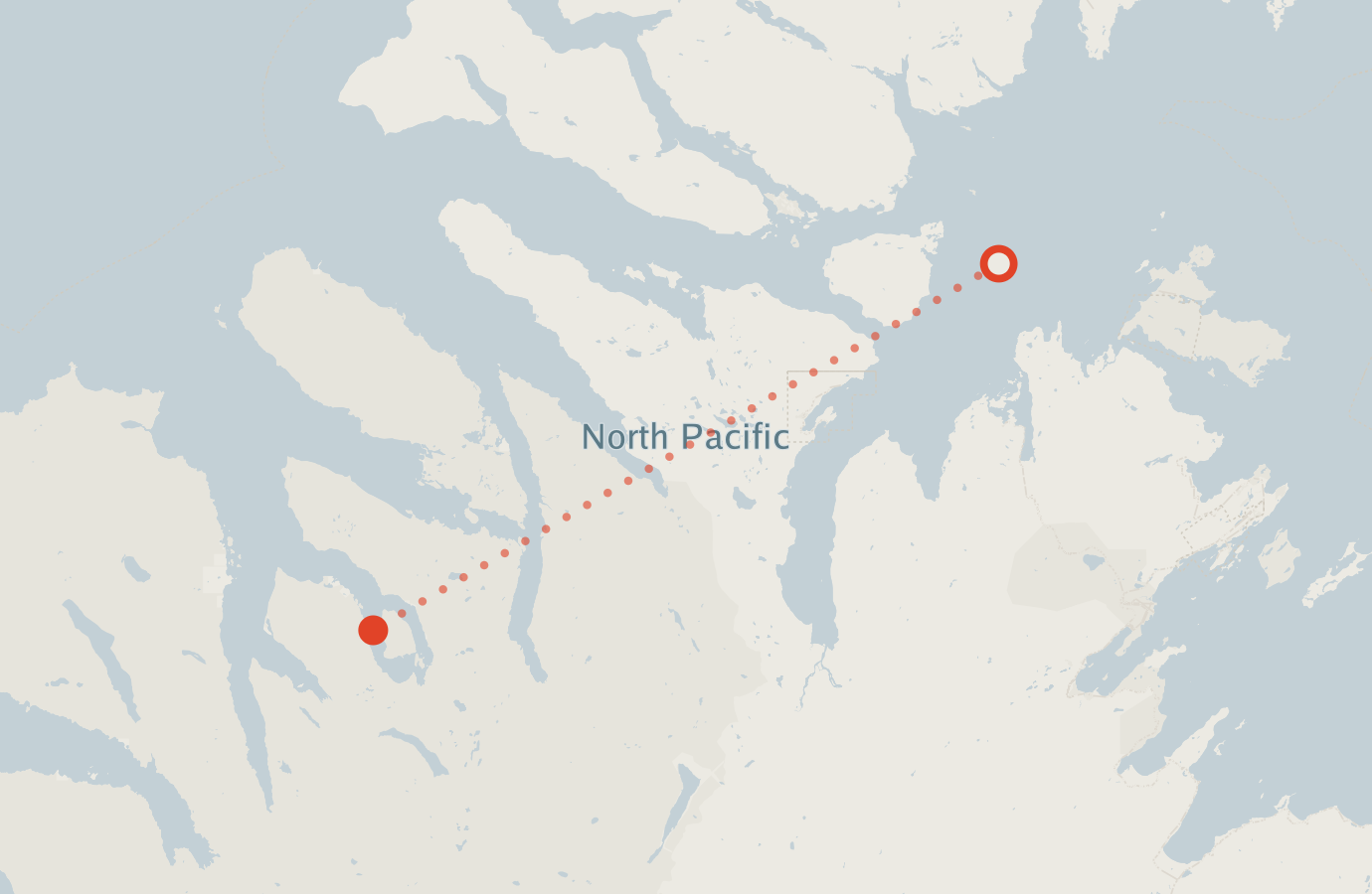 Activity map — real sighting points on an OpenStreetMap basemap