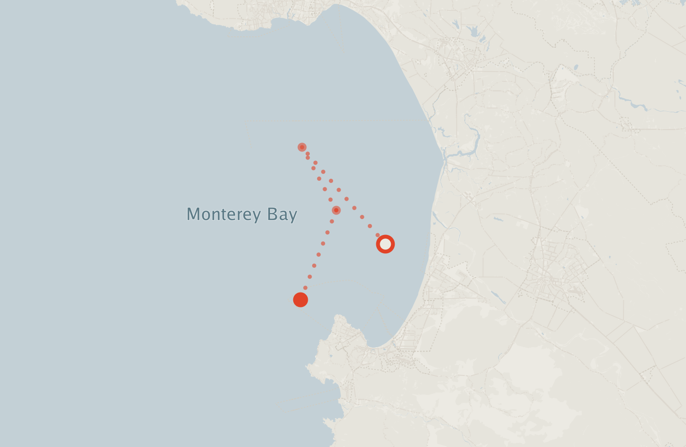 Activity map — real sighting points on an OpenStreetMap basemap