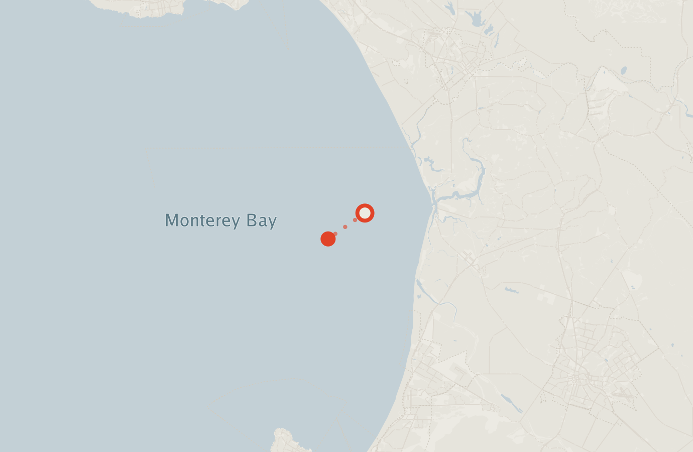Activity map — real sighting points on an OpenStreetMap basemap