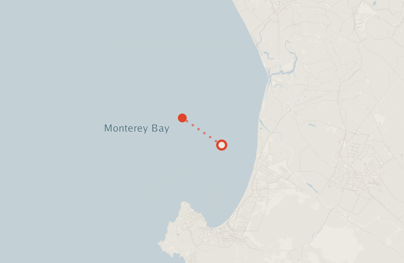 Activity map — real sighting points on an OpenStreetMap basemap