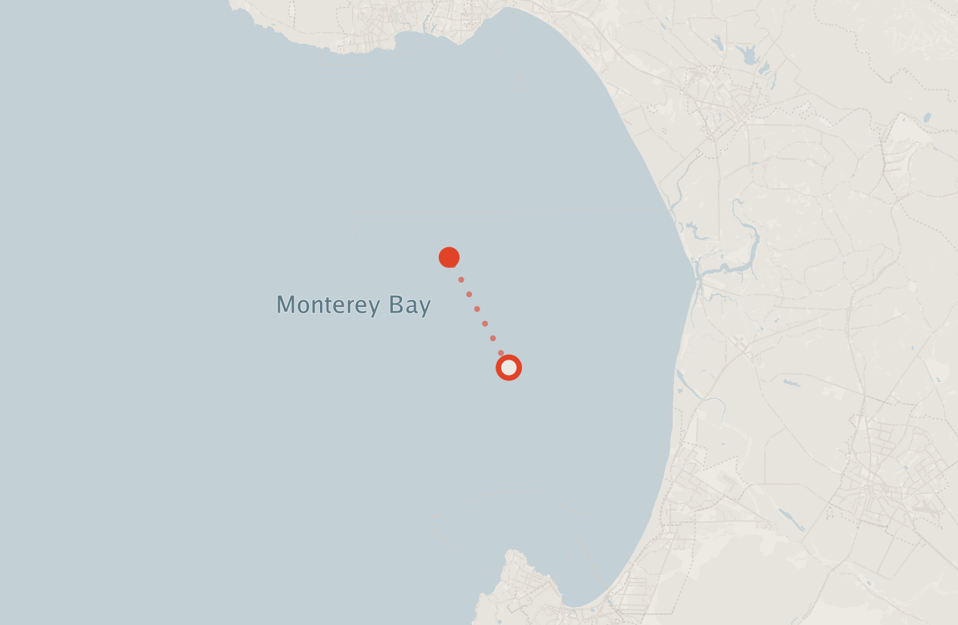 Activity map — real sighting points on an OpenStreetMap basemap
