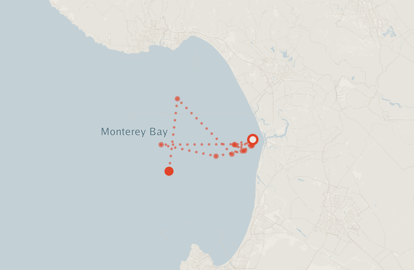 Activity map — real sighting points on an OpenStreetMap basemap