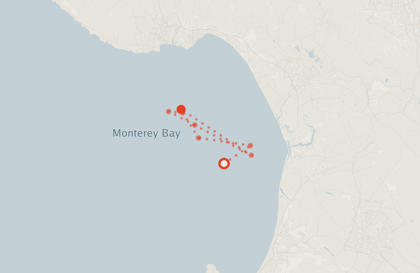 Activity map — real sighting points on an OpenStreetMap basemap