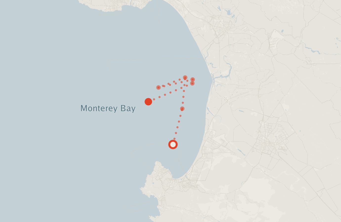 Activity map — real sighting points on an OpenStreetMap basemap