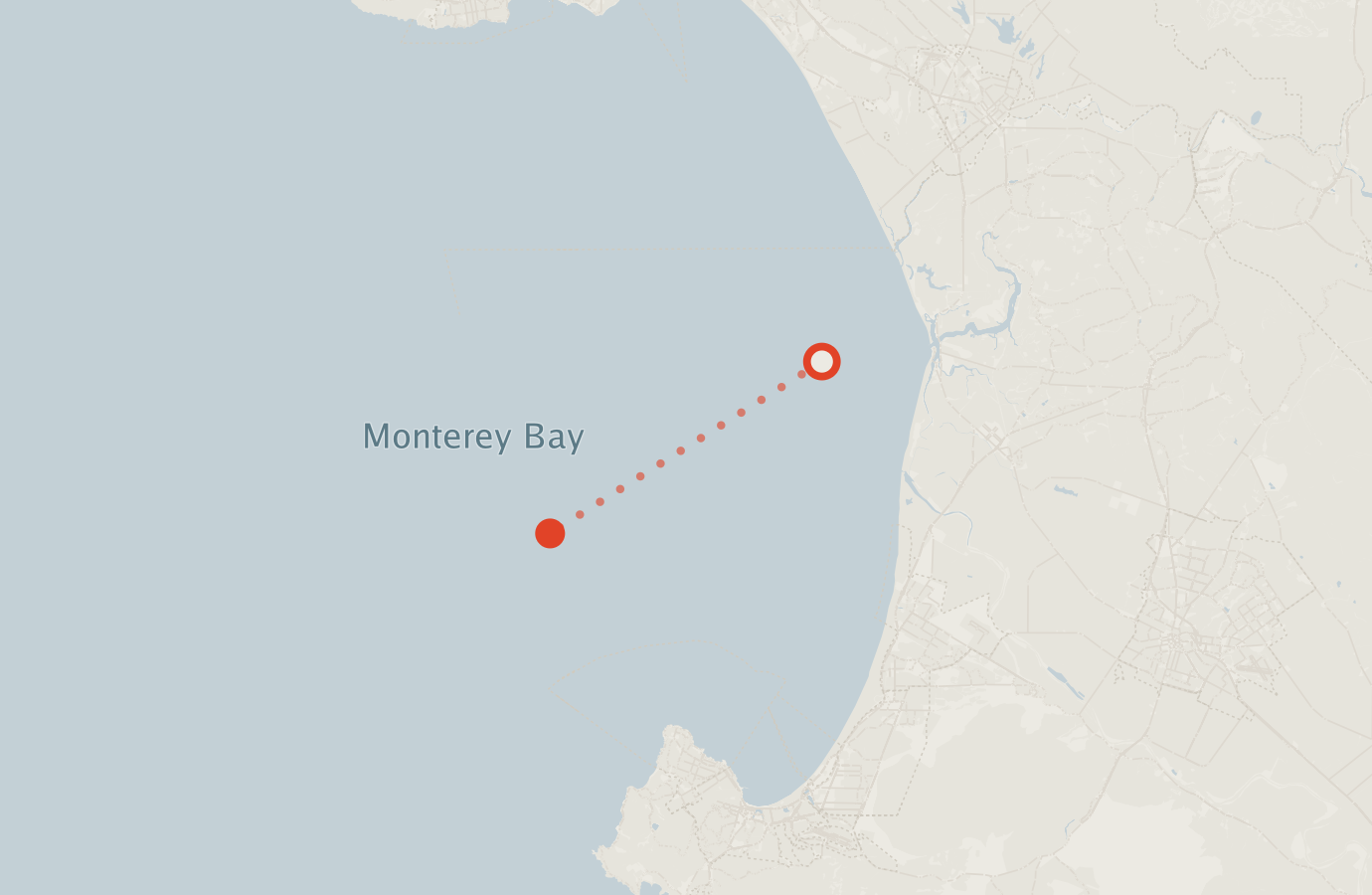 Activity map — real sighting points on an OpenStreetMap basemap