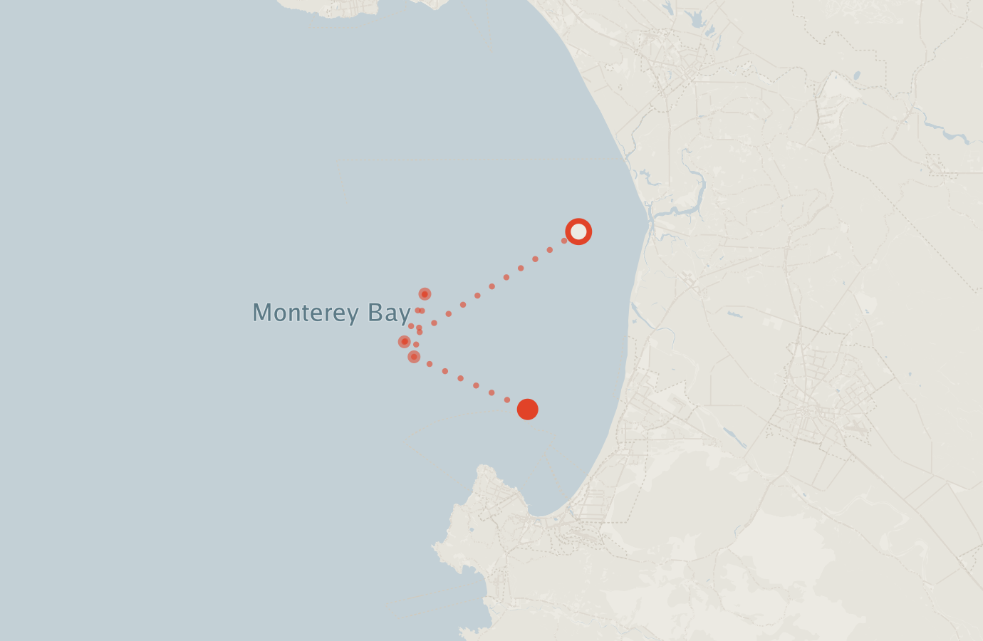 Activity map — real sighting points on an OpenStreetMap basemap