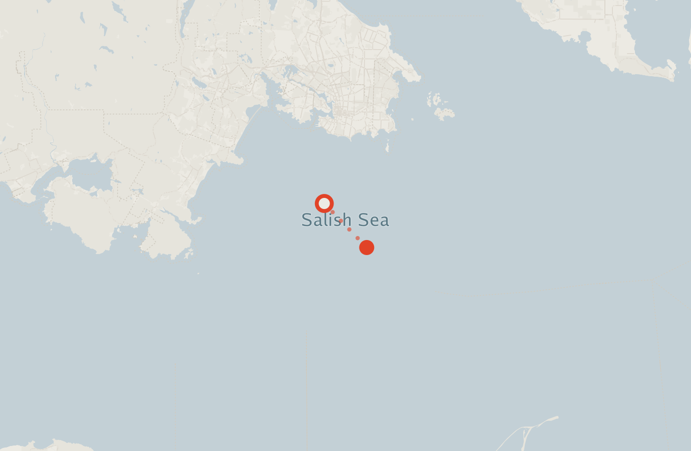Activity map — real sighting points on an OpenStreetMap basemap