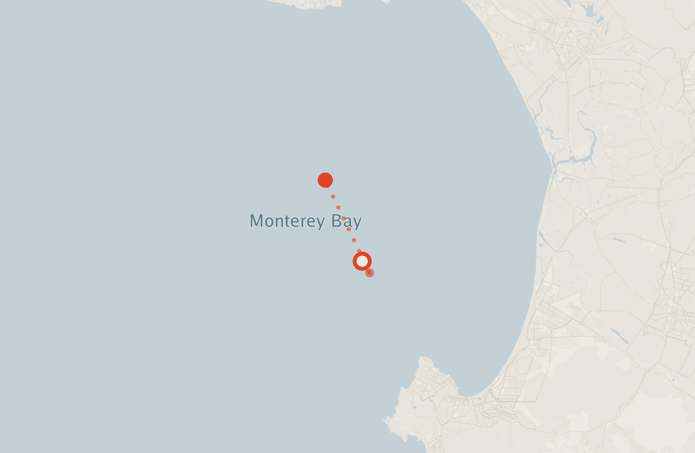 Activity map — real sighting points on an OpenStreetMap basemap