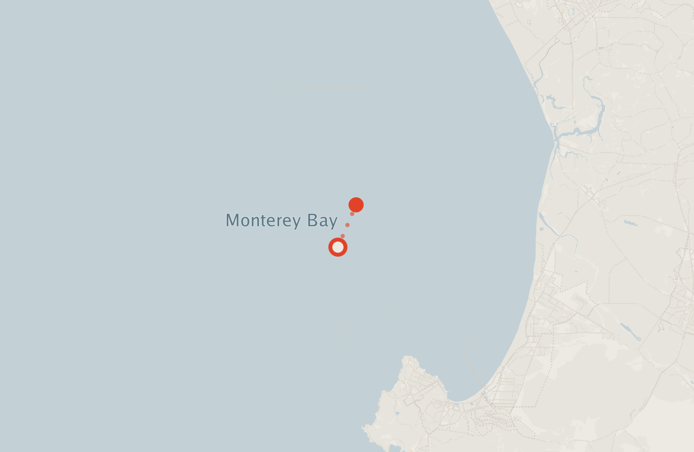 Activity map — real sighting points on an OpenStreetMap basemap