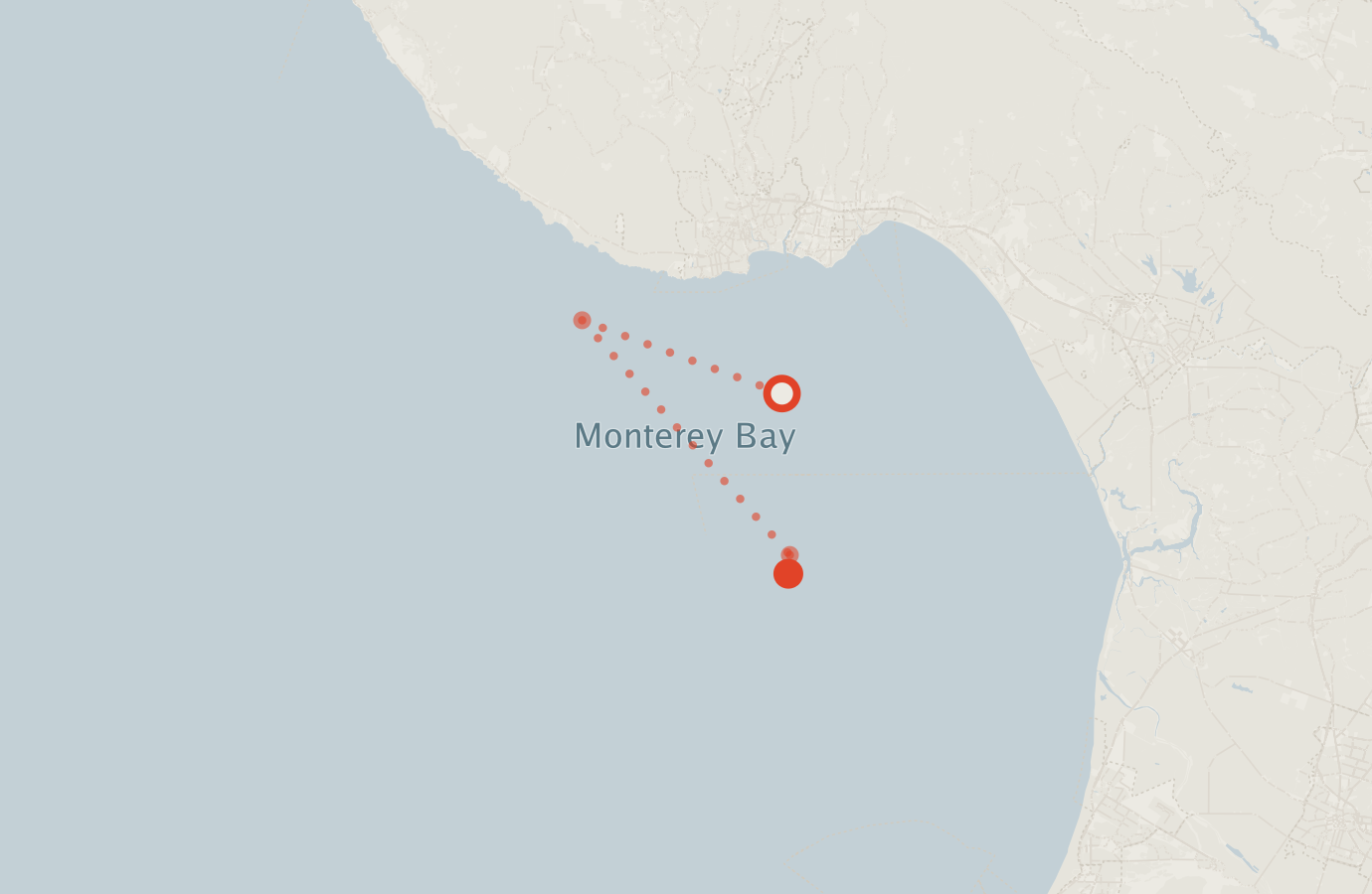Activity map — real sighting points on an OpenStreetMap basemap