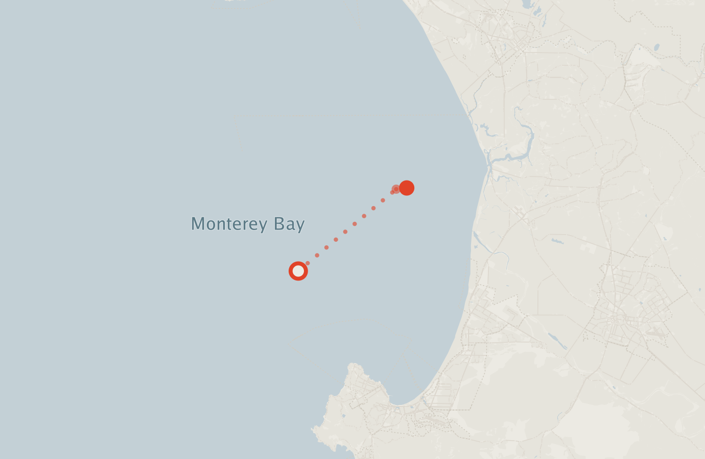 Activity map — real sighting points on an OpenStreetMap basemap