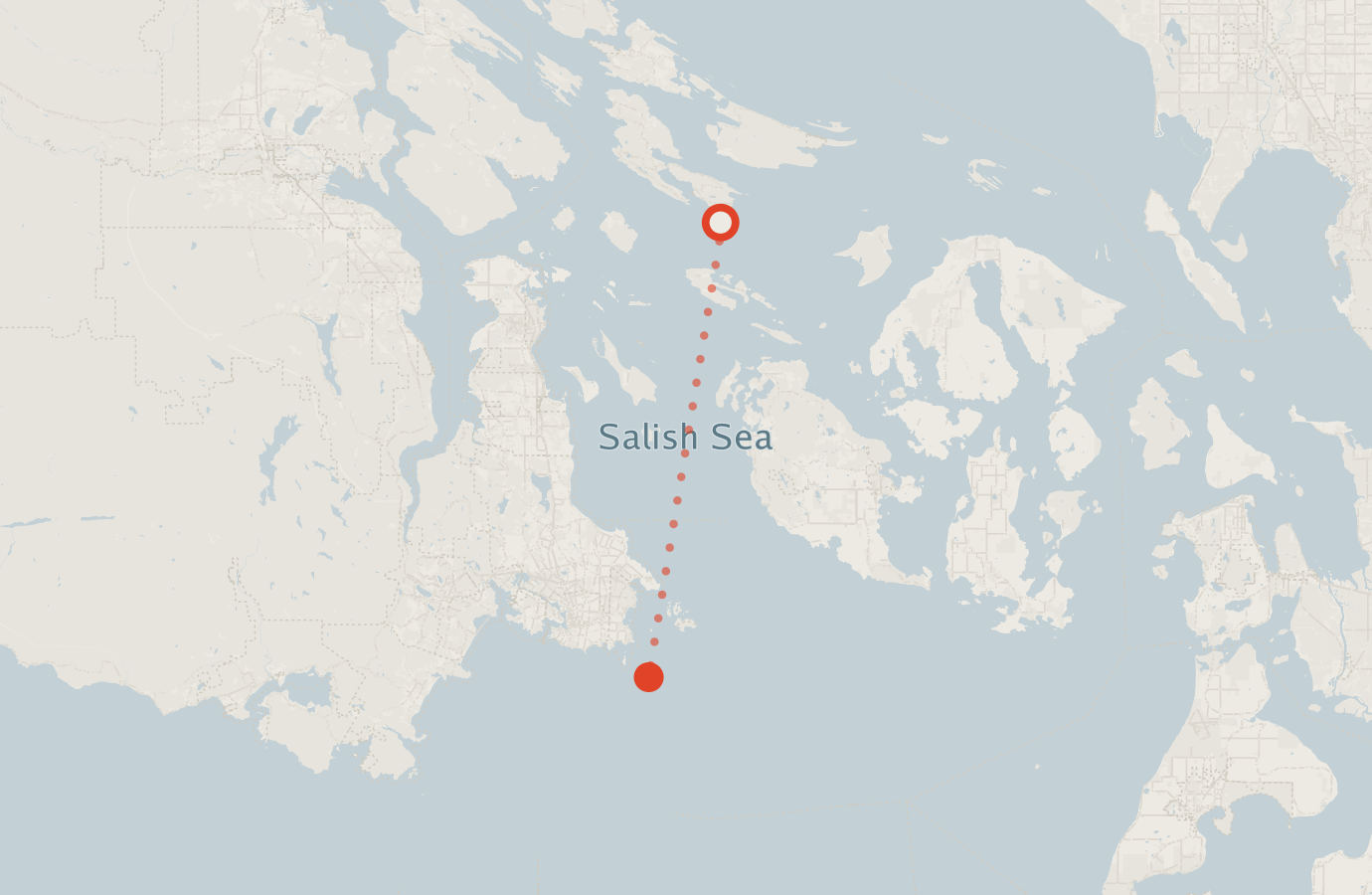 Activity map — real sighting points on an OpenStreetMap basemap