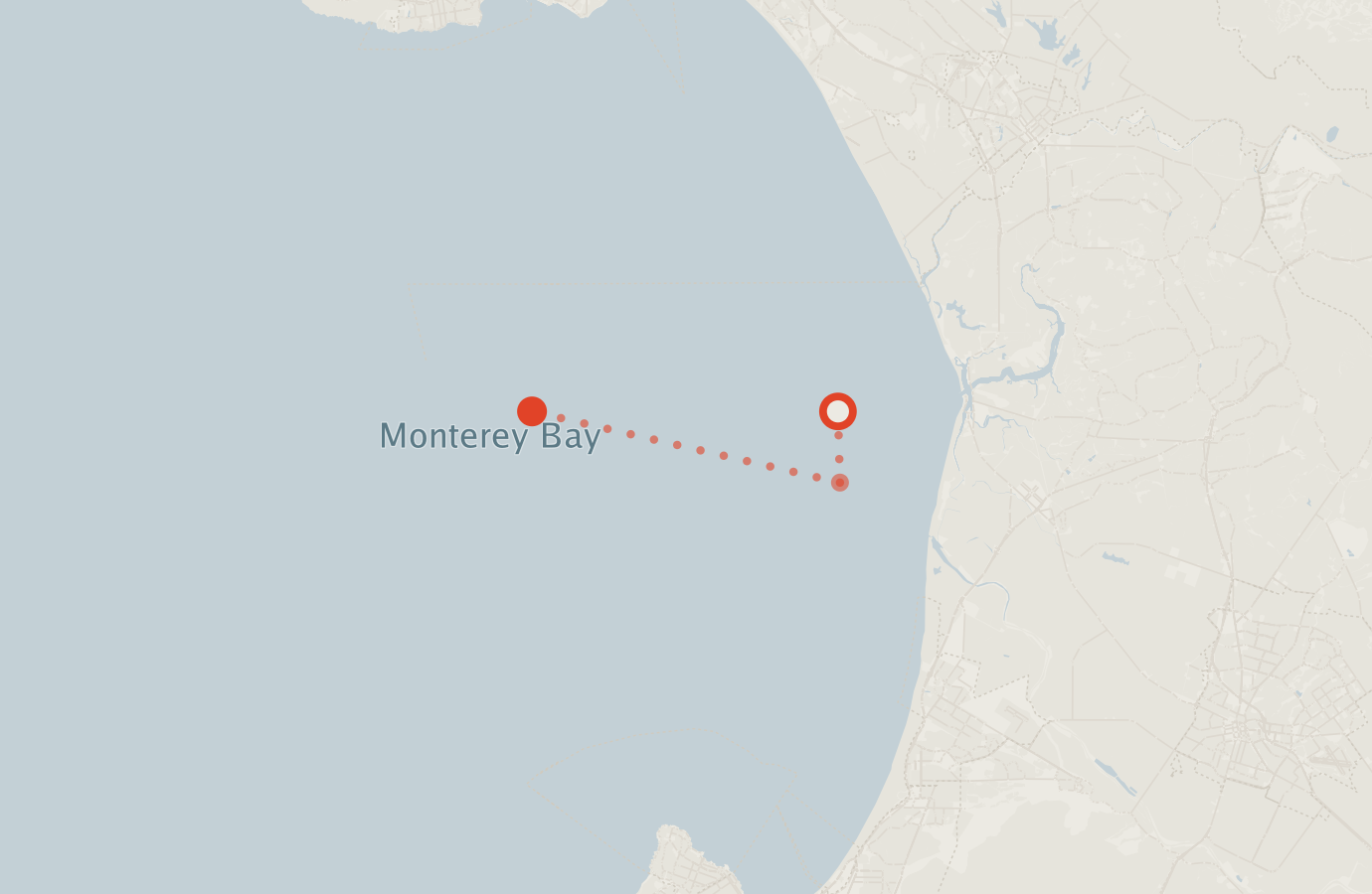Activity map — real sighting points on an OpenStreetMap basemap