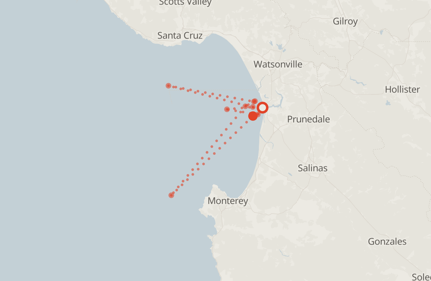 Activity map — real sighting points on an OpenStreetMap basemap