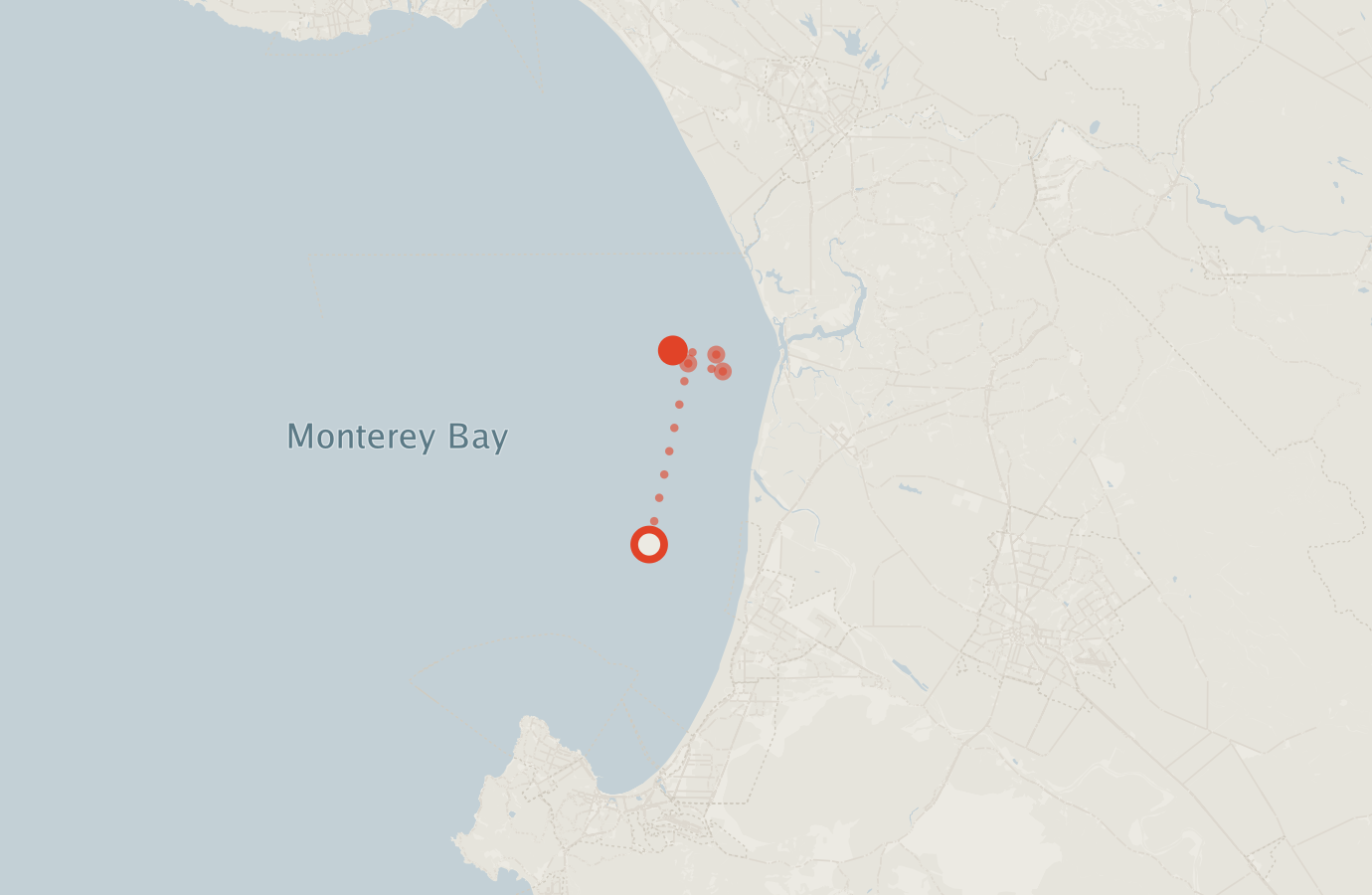Activity map — real sighting points on an OpenStreetMap basemap