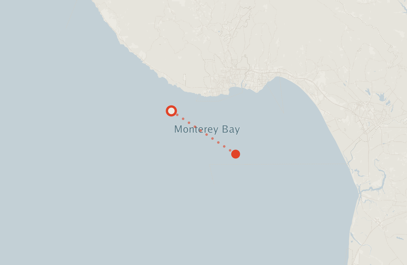 Activity map — real sighting points on an OpenStreetMap basemap
