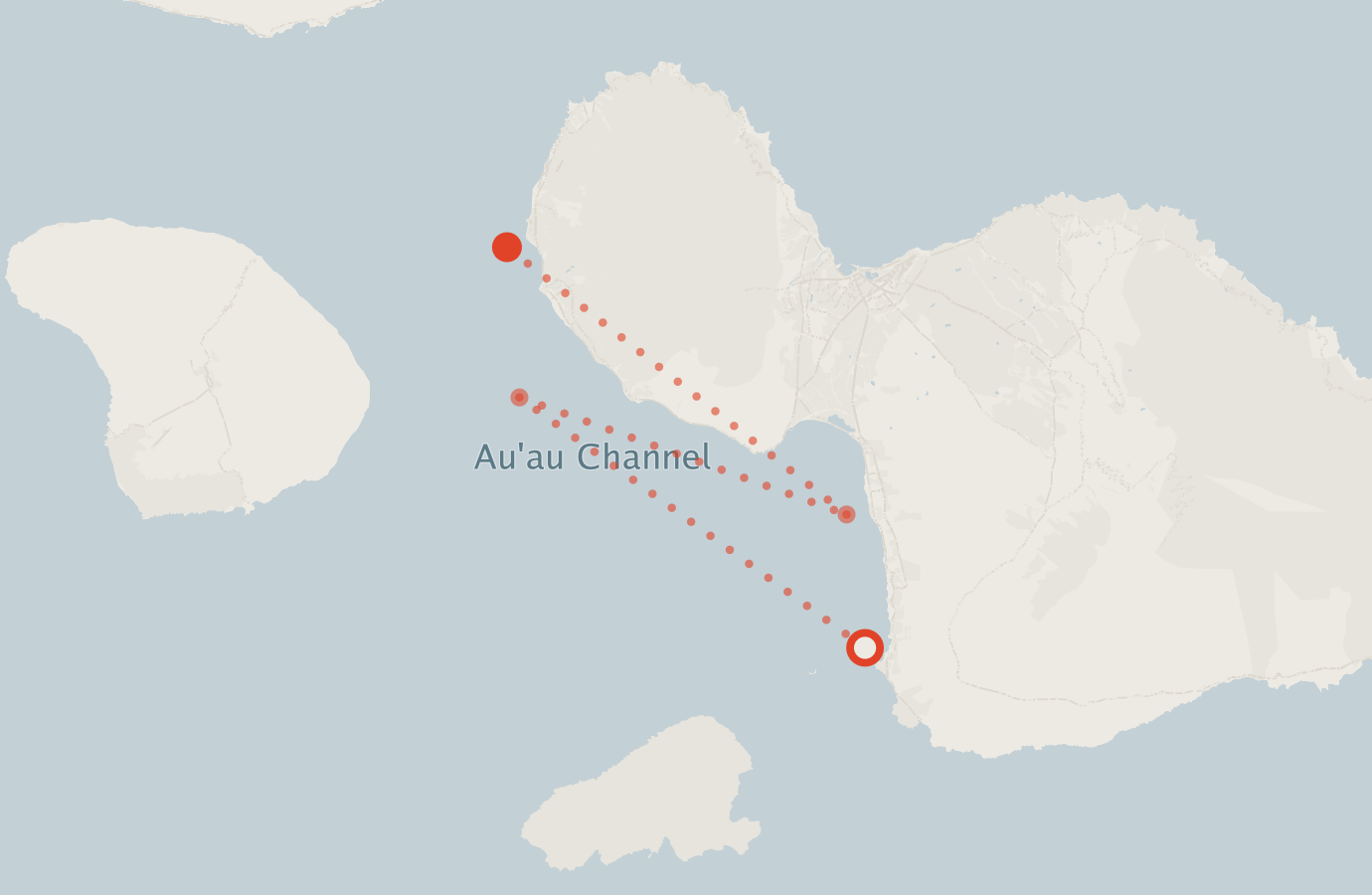 Activity map — real sighting points on an OpenStreetMap basemap