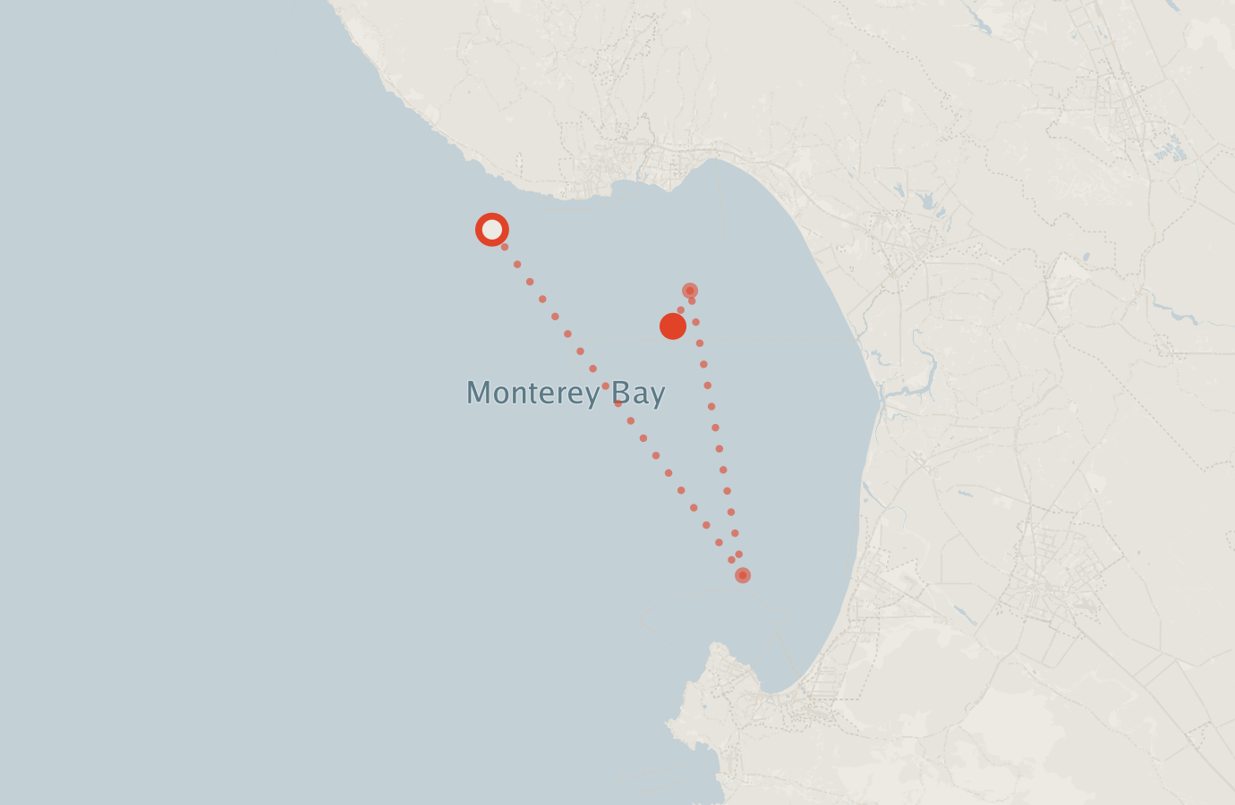 Activity map — real sighting points on an OpenStreetMap basemap