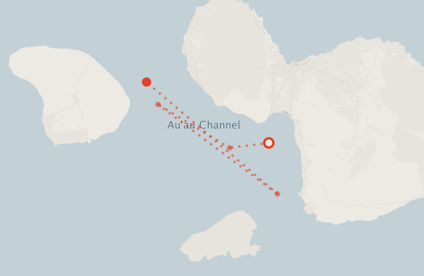 Activity map — real sighting points on an OpenStreetMap basemap